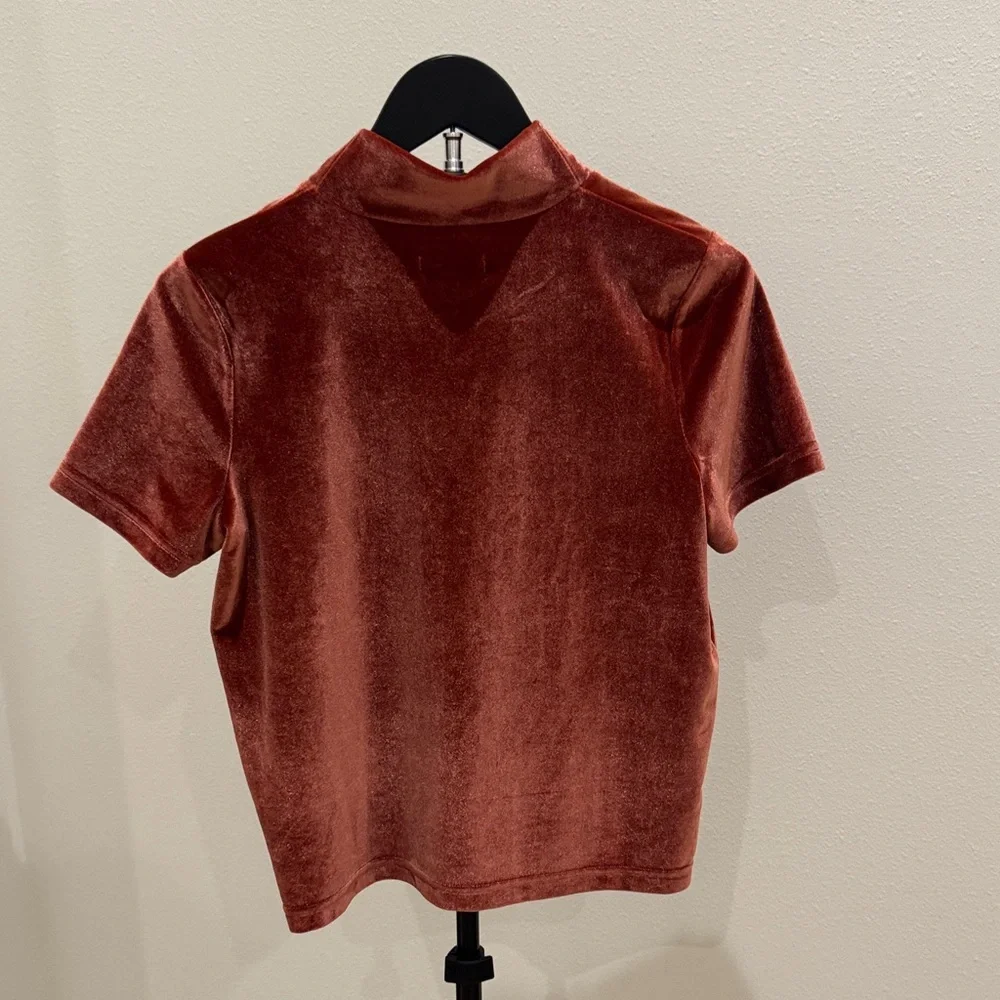 Madewell Short-Sleeve Velvet Mock Neck Top - Rusty Terracotta - Picture 3 of 3